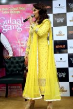 Madhuri Dixit at Gulaab Gang promotions in Delhi on 4th March 2014